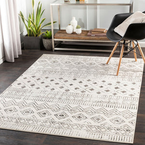 Livabliss Pisa Global Inspired Polypropylene Area Rug Machine Woven for Living and Dining Rooms PSS2305-57