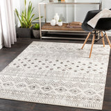 Pisa PSS-2305 7'10" x 10' Machine Woven Rug PSS2305-71010 Livabliss Surya