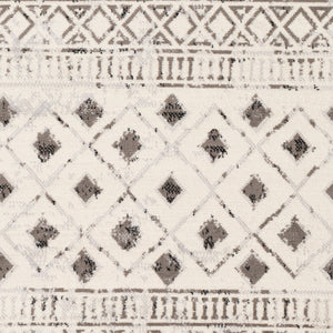Livabliss Pisa Global Inspired Polypropylene Area Rug Machine Woven for Living and Dining Rooms PSS2305-57