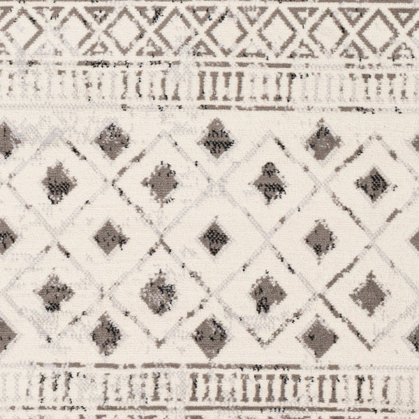 Livabliss Pisa Global Inspired Polypropylene Area Rug Machine Woven for Living and Dining Rooms PSS2305-57
