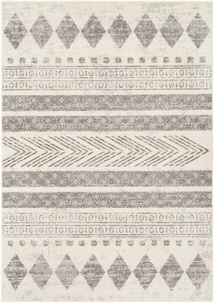 Pisa PSS-2306 6'7" x 9' Machine Woven Rug PSS2306-679 Livabliss Surya