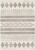 Pisa PSS-2306 6'7" x 9' Machine Woven Rug PSS2306-679 Livabliss Surya