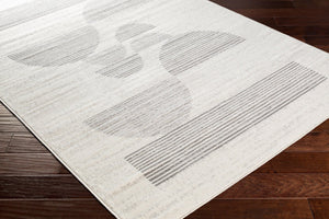 Livabliss Pisa Machine Woven Polypropylene Area Rug Minimalist Modern Style for Living Rooms PSS2319-57