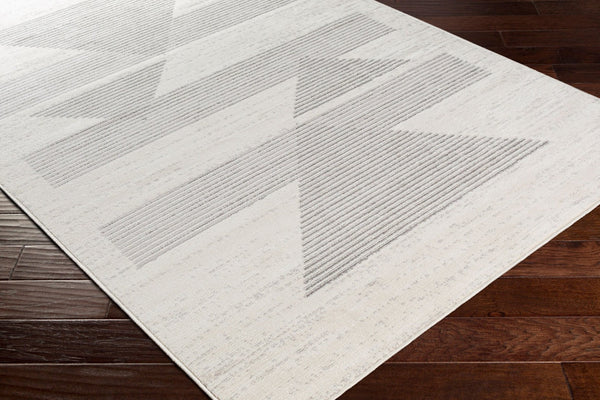 Livabliss Pisa Machine Woven Polypropylene Area Rug Stain Resistant for Living Room Floors Light Gray, Med 5' x 7' PSS2321-57