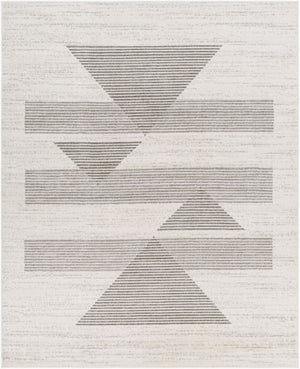 Livabliss Pisa Machine Woven Polypropylene Area Rug Stain Resistant for Living Room Floors Light Gray, Med 7'10" x 10' PSS2321-71010