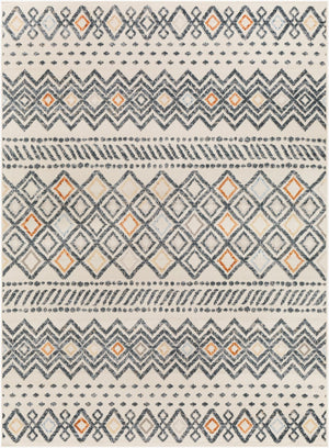 Livabliss Pisa Global Inspired Machine Woven Polypropylene Area Rug for Living and Dining Rooms 6'7" x 9' PSS2340-679