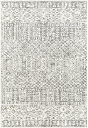 Livabliss Pisa Global Pattern Polypropylene Area Rug for Living Room Entryway and Dining Spaces Light Gray, Med 6'7" x 9' PSS2344-679
