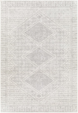 Pisa PSS-2345 7'10" x 10' Machine Woven Rug PSS2345-71010 Livabliss Surya