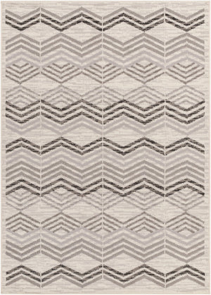 Livabliss Pisa Contemporary Polypropylene Area Rug Machine Woven in Turkey for Living Rooms PSS2352-679