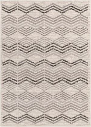 Pisa PSS-2352 7'10" x 10' Machine Woven Rug PSS2352-71010 Livabliss Surya