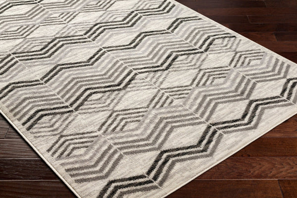 Livabliss Pisa Contemporary Polypropylene Area Rug Machine Woven in Turkey for Living Rooms PSS2352-679