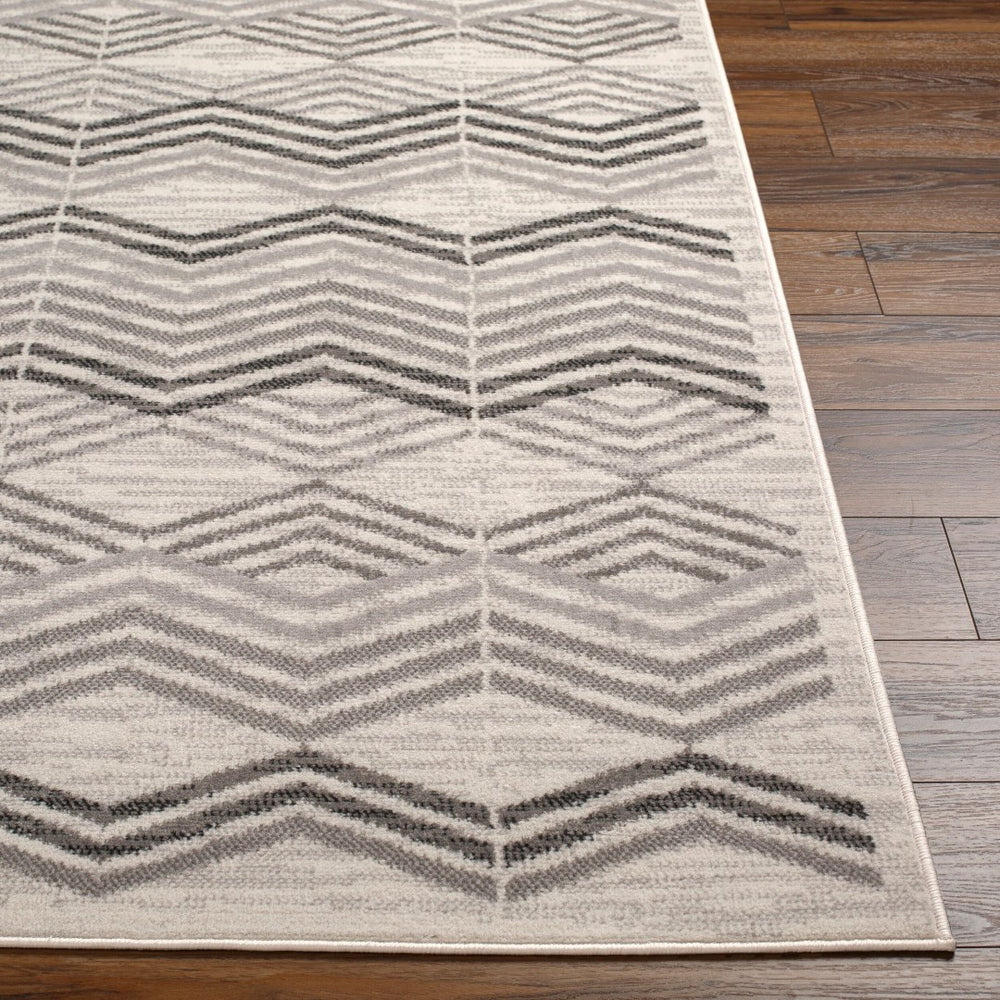 Livabliss Pisa Contemporary Polypropylene Area Rug Machine Woven in Turkey for Living Rooms PSS2352-679