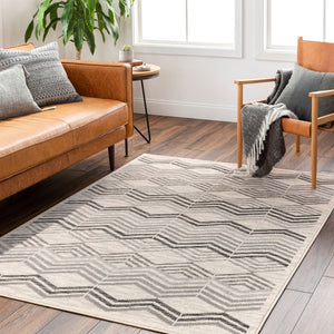 Livabliss Pisa Contemporary Polypropylene Area Rug Machine Woven in Turkey for Living Rooms PSS2352-679
