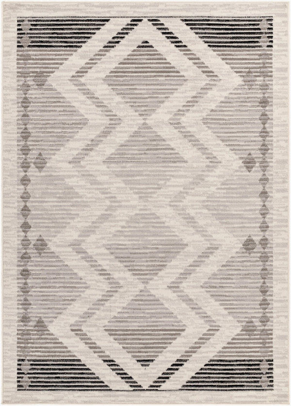 Livabliss Pisa Global Inspired Polypropylene Area Rug Turkish Woven for High Traffic Rooms PSS2353-57