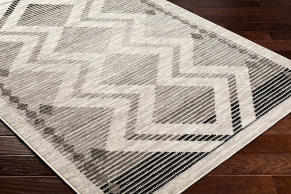 Livabliss Pisa Global Inspired Polypropylene Area Rug Turkish Woven for High Traffic Rooms PSS2353-57