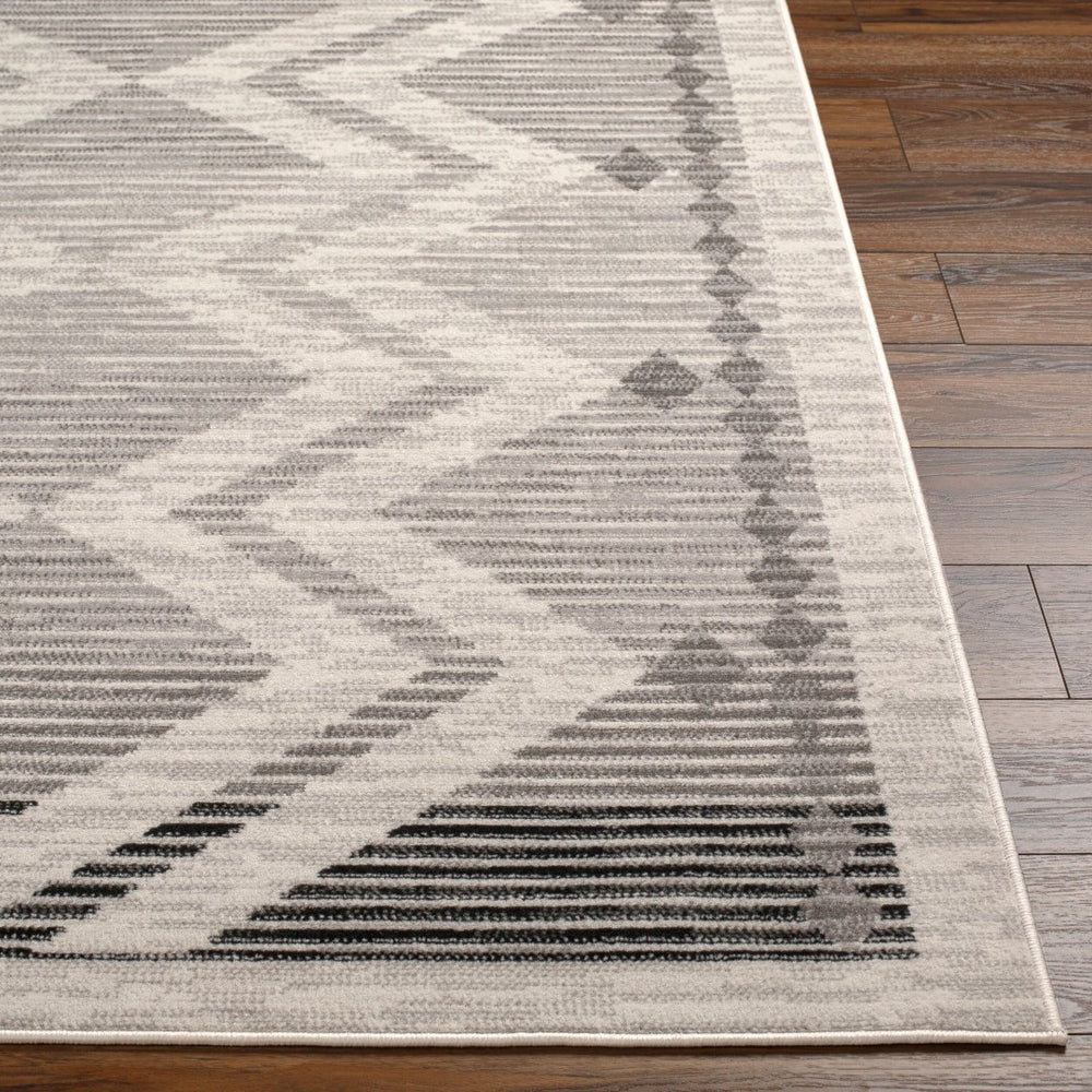 Livabliss Pisa Global Inspired Polypropylene Area Rug Turkish Woven for High Traffic Rooms PSS2353-57
