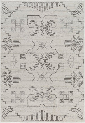 Pisa PSS-2359 5' x 7' Machine Woven Rug PSS2359-57 Livabliss Surya