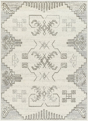 Livabliss Pisa Moroccan Geometric Area Rug Machine Woven Polypropylene for Living and Dining Rooms PSS2360-679