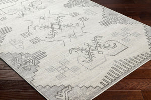 Livabliss Pisa Moroccan Geometric Area Rug Machine Woven Polypropylene for Living and Dining Rooms PSS2360-679