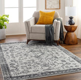 Pisa PSS-2366 7'10" x 10' Machine Woven Rug PSS2366-71010 Livabliss Surya