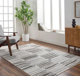 Pisa PSS-2382 7'10" x 10' Machine Woven Rug PSS2382-71010 Livabliss Surya