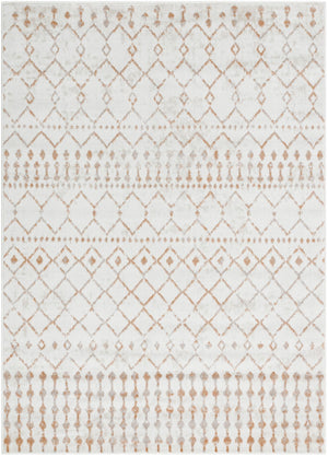 Pisa PSS-2386 5' x 7' Machine Woven Rug PSS2386-57 Livabliss Surya