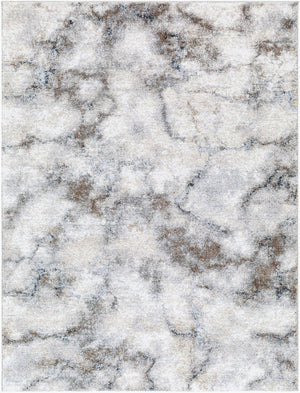 Livabliss Portofino Plush High Pile Area Rug Turkey Woven Polypropylene Blend Living Room Accent PTF2318-81012
