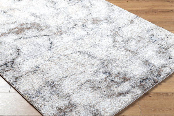 Livabliss Portofino Plush High Pile Area Rug Turkey Woven Polypropylene Blend Living Room Accent PTF2318-81012
