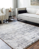 Portofino PTF-2320 8'10" x 12' Machine Woven Rug PTF2320-81012 Livabliss Surya