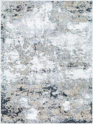 Portofino PTF-2321 8'10" x 12' Machine Woven Rug PTF2321-81012 Livabliss Surya