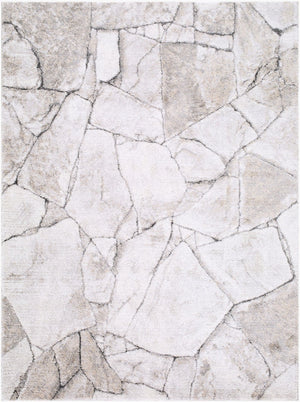Livabliss Portofino Plush High Pile Area Rug Turkey Woven Polypropylene Modern Living Room Ivory, Silver G 5'3" x 7' PTF2327-537
