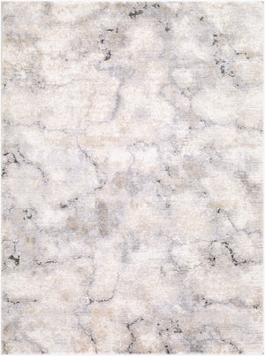 Livabliss Portofino Plush High Pile Area Rug Turkey Woven Polypropylene Minimalist Living Room Silver Gray, Iv 7'10" x 10' PTF2328-71010