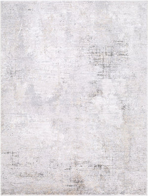 Livabliss Portofino Plush High Pile Area Rug Soft Polypropylene Blend for Modern Living Rooms Silver Gray, Gr 5'3" x 7' PTF2330-537