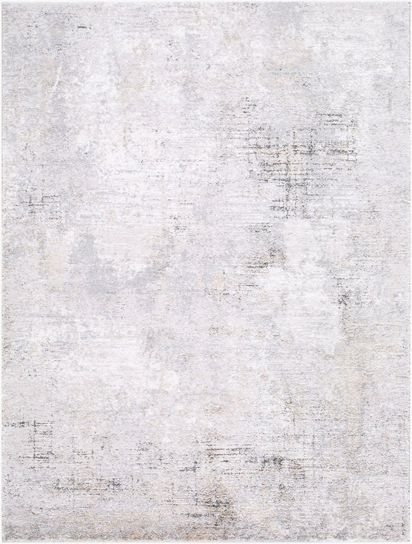 Livabliss Portofino Plush High Pile Area Rug Soft Polypropylene Blend for Modern Living Rooms Silver Gray, Gr 5'3" x 7' PTF2330-537