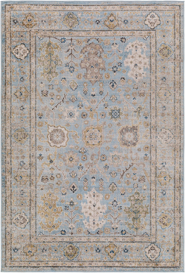 Livabliss Pertek Traditional Polypropylene Accent Rug Machine Woven for Entryway or Bedside PTK2307-23