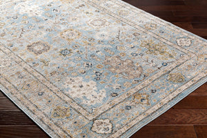Livabliss Pertek Traditional Polypropylene Accent Rug Machine Woven for Entryway or Bedside PTK2307-23