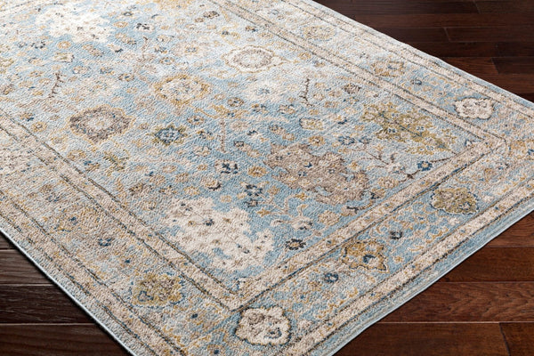 Livabliss Pertek Traditional Polypropylene Accent Rug Machine Woven for Entryway or Bedside PTK2307-23