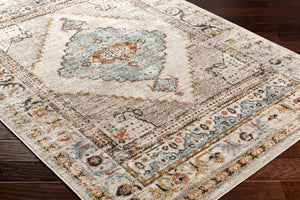 Livabliss Pertek Traditional Polypropylene Accent Rug Turkey Woven Medium Pile Entryway Floor Taupe, Gray 2' x 2'11" PTK2311-23