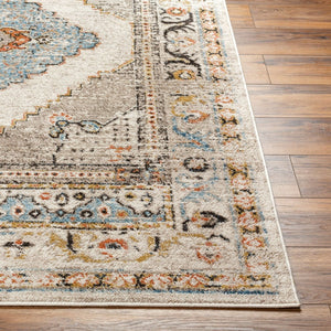 Livabliss Pertek Traditional Polypropylene Accent Rug Turkey Woven Medium Pile Entryway Floor Taupe, Gray 2' x 2'11" PTK2311-23