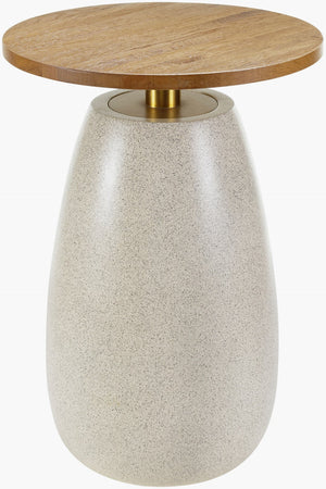 Surya Pupil Minimalist 25"H End Table With Wood Veneer Top & Durable Resin-stainless Steel Base Top, Brown,Base, Beige Oak,Resin,Stainless Steel Pup001-251818