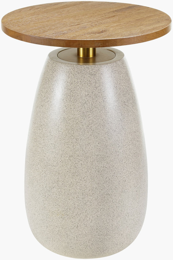 Surya Pupil Minimalist 25"H End Table With Wood Veneer Top & Durable Resin-stainless Steel Base Top, Brown,Base, Beige Oak,Resin,Stainless Steel Pup001-251818