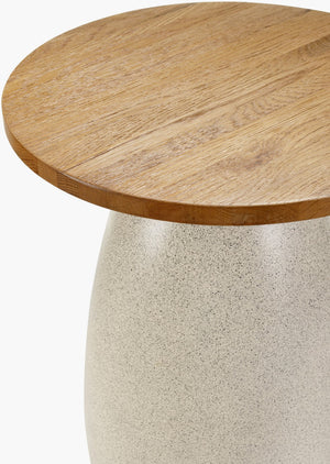 Surya Pupil Minimalist 25"H End Table With Wood Veneer Top & Durable Resin-stainless Steel Base Top, Brown,Base, Beige Oak,Resin,Stainless Steel Pup001-251818