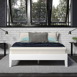 English Elm Steve Silver - Nix - Full Platform Bed - White