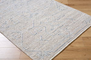Livabliss Provence Handmade Recycled Pet Accent Rug Eco Friendly Woven Texture for Entryways Pewter, Sky Blu 8' x 10' PVE2300-810