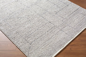 Livabliss Provence Handwoven Recycled Pet Accent Rug for Entryway Patio or Bathroom Decor Slate Gray, Cha 8' x 10' PVE2303-810