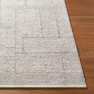 Livabliss Provence Handwoven Recycled Pet Accent Rug for Entryway Patio or Bathroom Decor Slate Gray, Cha 8' x 10' PVE2303-810
