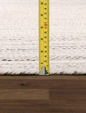 Pasargad Home Camilo Hand Braided Indoor/Outdoor Ivory Area Rug - Vibrant Geometric Patterns   Py-02 3x5