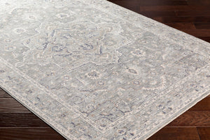 Livabliss Palazzo Machine Woven Viscose Blend Traditional Area Rug with Lustrous Sheen Taupe, Rose 2' x 3'3" PZL2300-233