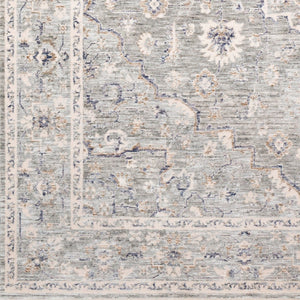 Livabliss Palazzo Machine Woven Viscose Blend Traditional Area Rug with Lustrous Sheen Taupe, Rose 2' x 3'3" PZL2300-233
