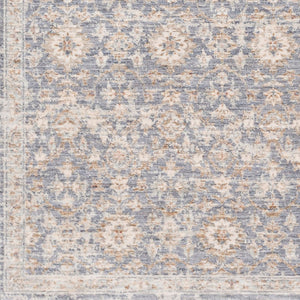 Livabliss Palazzo Traditional European Accent Rug Polyester Viscose Blend Soft Entryway Mat PZL2303-233